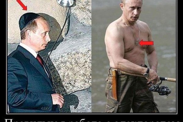 Пользователь не найден кракен что делать