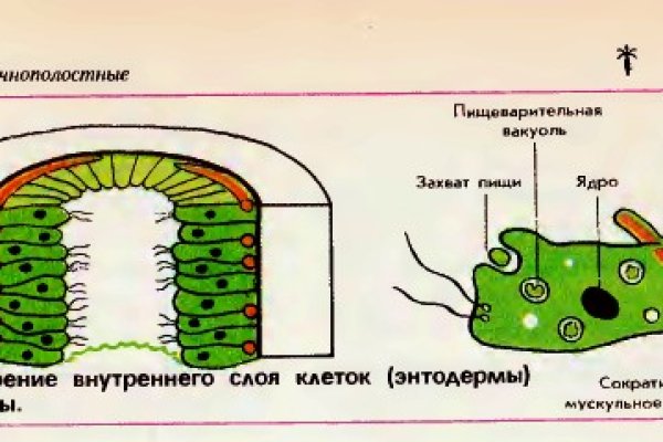 Что такое кракен площадка